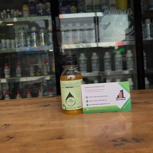 Xua côn trùng trong nhà Koxtox - 100ml